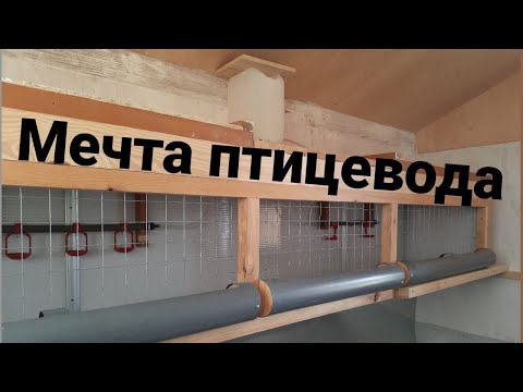 Видео: ПРАВИЛЬНАЯ клетка для бройлеров.