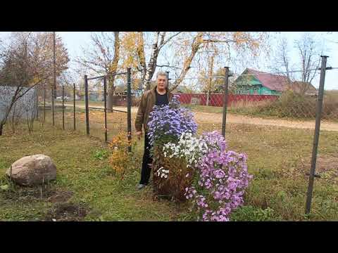 Видео: Мои сигары "Куба" - 2 часть: «Capa & Capote: покровной и связующий лист, первая проба»