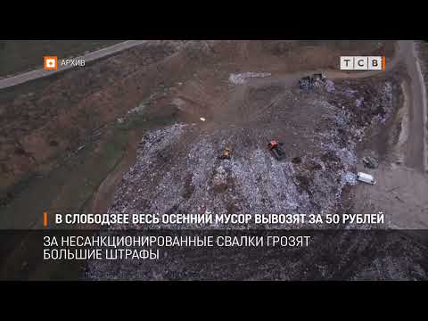 Видео: В Слободзее весь осенний мусор вывозят за 50 рублей