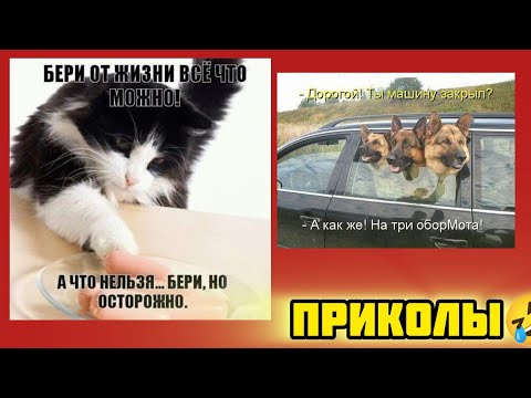 Видео: закрыто на три оборота смотри смешные картинки мемы котики приколы  🤣