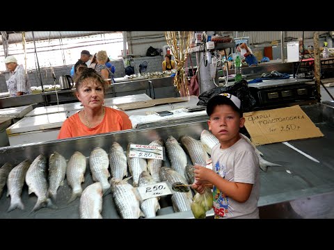 Видео: Темрюк. Центральный рынок. Мини-обзор.