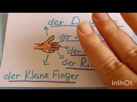 Видео: Finger.Hand.Как называются пальцы на руках по-немецки.
