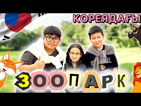 Видео: КОРЕЙСКИЙ ЗООПАРКҚА БАРДЫҚ 🫨🙈🐅🦒🐘🦘