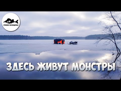 Видео: ЗА БОЛЬШОЙ ЩУКОЙ 🔥 РЫБАЛКА НА жерлицы на лесных озёрах Ленинградской области. Ночуем в палатке.