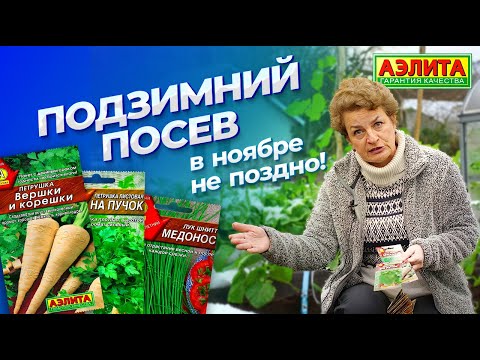 Видео: СЕЯТЬ ПОД ЗИМУ НЕ ПОЗДНО! Подзимний посев семян в ноябре и декабре.