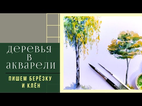 Видео: Как рисовать деревья акварелью ~ Пишем берёзу и клён ~ Trees in watercolor