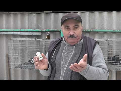 Видео: Внимание ! Ленточные ?  Или их называют  ( РАДУЖНЫЕ )