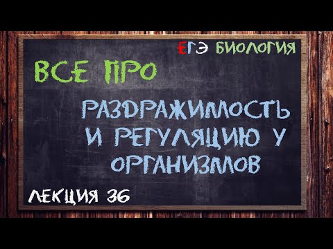 Видео: Л.38 | РАЗДРАЖИМОСТЬ И РЕГУЛЯЦИЯ У ОРГАНИЗМОВ | ОБЩАЯ БИОЛОГИЯ ЕГЭ