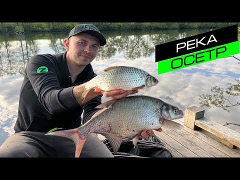 Видео: ЛОВЛЯ ЛЕЩА НА ФИДЕР РЫБАЛКА НА ОСЕТРЕ / FROS FISHING