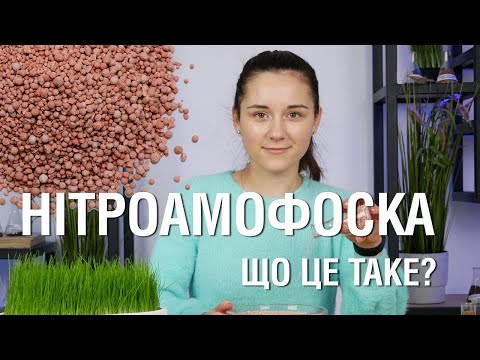 Видео: Що таке нітроамофоска? І чому вам обов'язково потрібно її придбати!😉