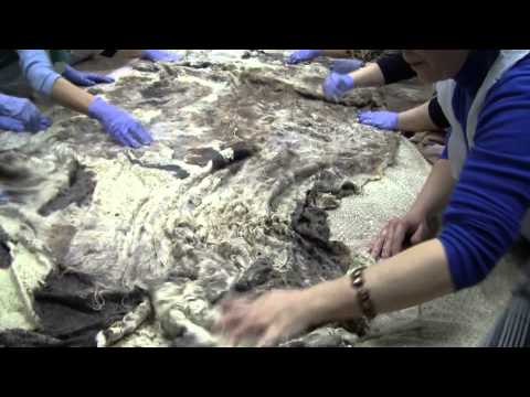 Видео: Клубный день в студии Felt4Fun. Панно из флиса