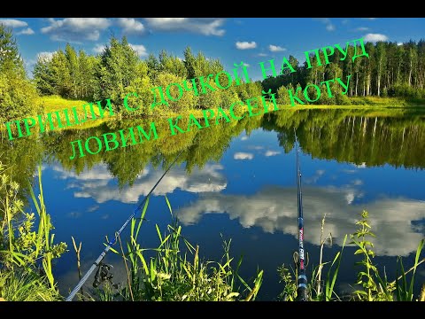 Видео: РЫБАЛКА | ЛОВИМ КАРАСЯ | ПЕРВАЯ РЫБА ВАСИЛИСЫ | 🎣ПРУД У ДОМА #рыбалка #fishing #пруд #дача #2024