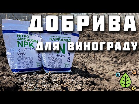 Видео: Чим ПІДКОРМИТИ виноград. Внесення мінеральних добрив. Основна підкормка винограду і саду весною