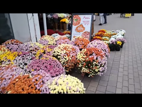 Видео: Я ЗГРІШИВ,МЕНІ ПОТРІБНА ПАУЗА