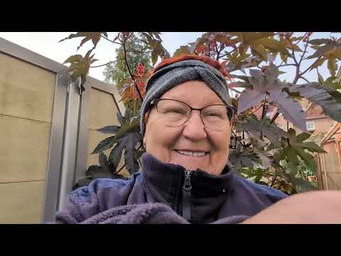 Видео: ЗИМНЯЯ ДЕКОРАЦИЯ К РОДИТЕЛЬСКОМУ ДНЮ! / 1800