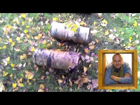 Видео: Грибы вешенка на пнях. Опыт выращивания глазами начинающего. Часть первая.