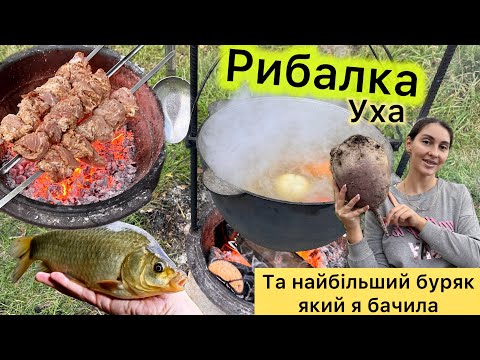 Видео:  ГІГАНТСЬКИЙ БУРЯК🫜 на 4 кг! ГРИБИ 🍄 ШАШЛИК та РИБАЛКА 🎣