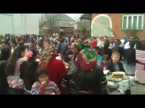Видео: Богар мирако бияв