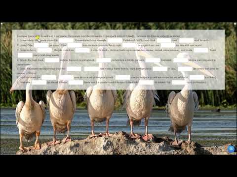 Видео: Применение определенного и неопределенного артиклей в румынском языке