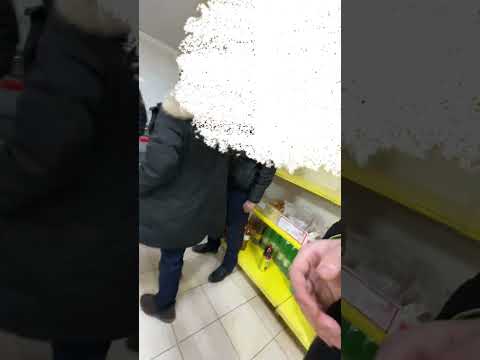 Видео: Құрманғазы ауданы Адия дүкені ӘҚБтК 425 және 455 баптары