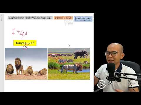 Видео: 1-сабақ | 11 сынып Харди-Вайнберг заңы бойынша есеп шығарып үйрену #харди-вайнберг #11сыныпбиология