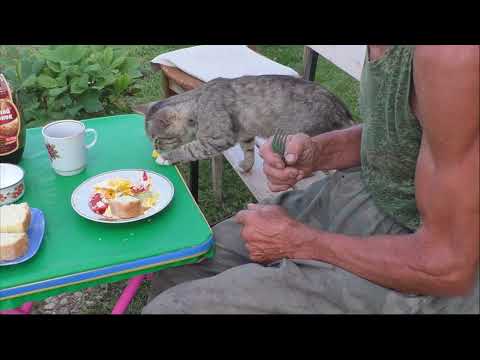 Видео: канал Саша Торопов  Денёк сегодня удался....