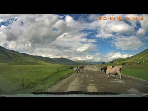 Видео: Путешествие по Алтаю август 2022. Часть 3. Дорога Улаган - Кату-Ярык