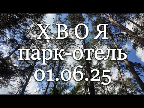 Видео: Парк-отель Хвоя. Новосибирск. 01.06.25