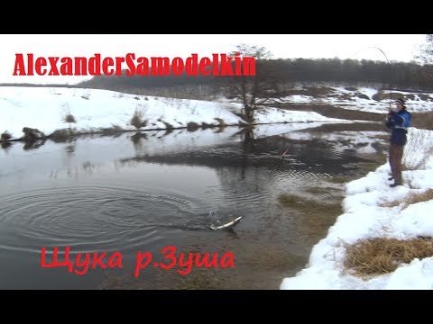 Видео: Рыбалочка р Зуша Спининг  Живец