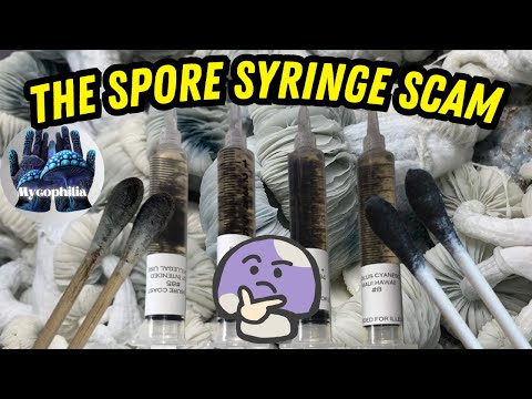 Видео: Насколько ТОЛСТЫМИ ДОЛЖНЫ быть 🍄шприцы и тампоны со спорами🍄?