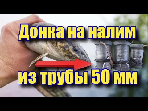 Видео: Донка на налим
