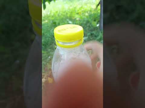 Видео: Торт для равликів 1 частина