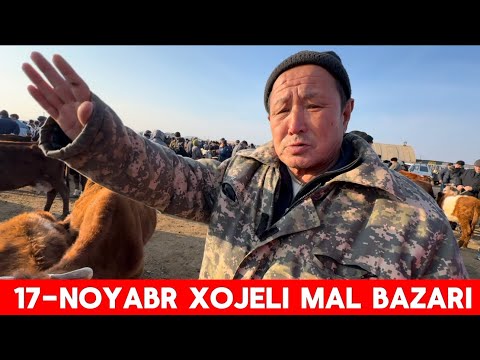 Видео: 17-НОЯБРЬ ХОЖЕЛИ МАЛ БАЗАР БАХАЛАРЫ СКОТНЫЙ РЫНОК БУГАЛАР EXPENSIVE WORLD BULLS