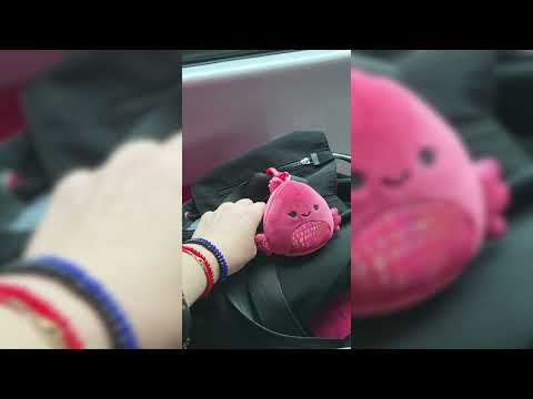 Видео: Сезон  «Денежный поток: энергия изобилия»