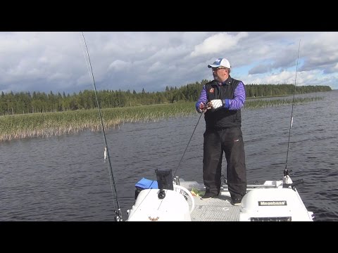 Видео: Твичинг, приемы и рекомендации. Твичинг крупных воблеров