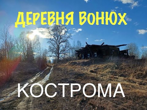 Видео: Заброшенная деревня. Здесь тоже мылись в печке. Костромская область
