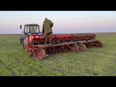 Видео: Ужас... Третий раз вносим  селитру по методу Бузницкого