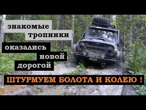 Видео: А кто сказал, что будет легко?! Глубокий off-road на Большой Кемчуг.