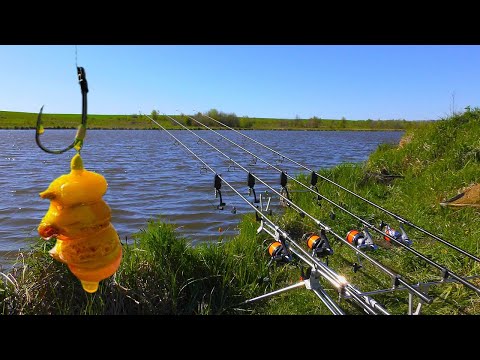 Видео: РИБАЛКА НА КАРПА. КЛЮЄ ЯК ДУРНИЙ. Відкриття сезону 2023 та ЯК ЛОВИТИ ВЕСНОЮ