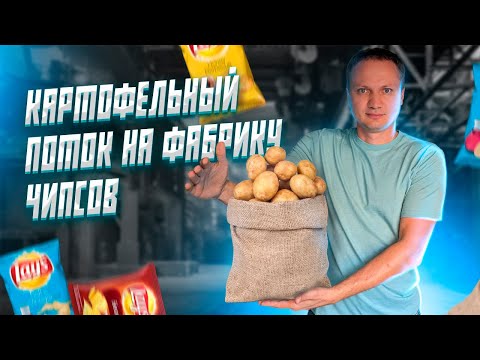 Видео: США/Дальнобой/Картофельный поток на фабрику чипсов в Орегоне.