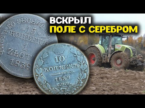 Видео: Вскрыл поле с Царским серебром! Поиск золота и кладов с металлоискателем, нашли старинные монеты!