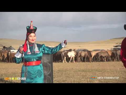 Видео: АДУУН ӨВ СОЁЛ 2025 ТЭМЦЭЭН