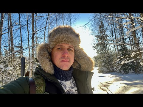Видео: ОХОТА ЗИМОЙ. ВОЛКОВ БОЯТЬСЯ - В ЛЕС НЕ ХОДИТЬ! По следу Зверя, а в лесу красота!