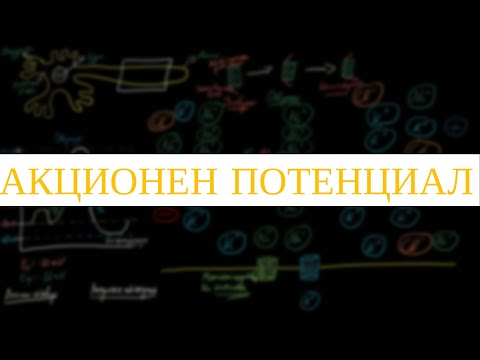 Видео: Акционен потенциал