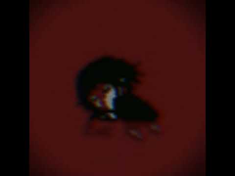 Видео: Электрофорез - Красная комната (lyrics) †