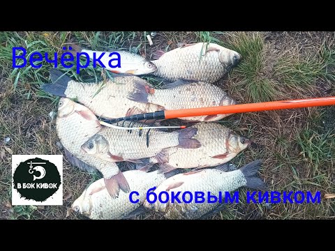 Видео: С такими карасями и карпа не надо. Вечерняя рыбалка на боковой кивок.