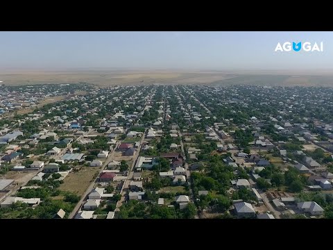 Видео: Қуаныш Жамбулов - Шұбарсу