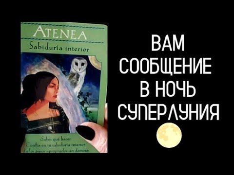 Видео: #Таро🔮 Лунное 🌕 Сообщение ✍️