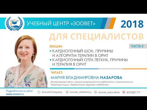 Видео: Назарова М. В. в УЦ «Зоовет» | ч. 2