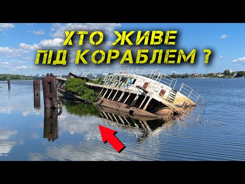 Видео: ✅ Хто тут Живе?! Рибалка на Дніпрі влітку ✅